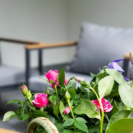 דירה Beatrice - We 13 Mit Eigener Sauna, 2 Dachterrassen, Kleiner Meerblick