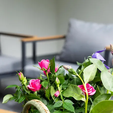 דירה Beatrice - We 13 Mit Eigener Sauna, 2 Dachterrassen, Kleiner Meerblick