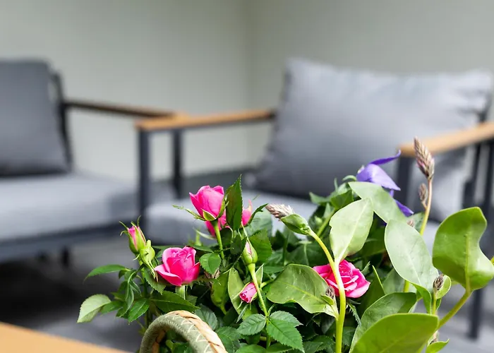 Apartament Beatrice - We 13 Mit Eigener Sauna, 2 Dachterrassen, Kleiner Meerblick